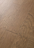 Cassia Bark