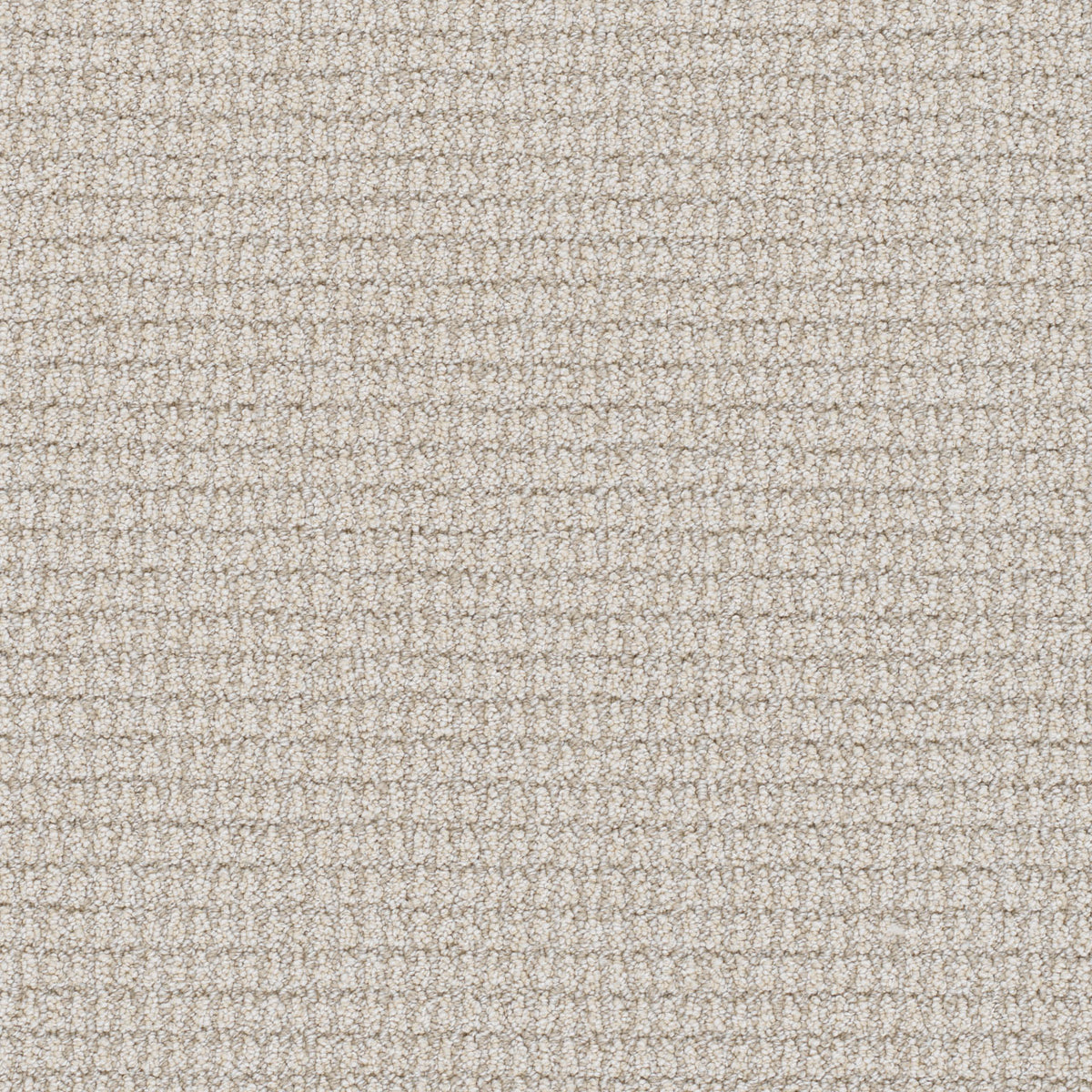 PALMA - Bay Dream - Swatch