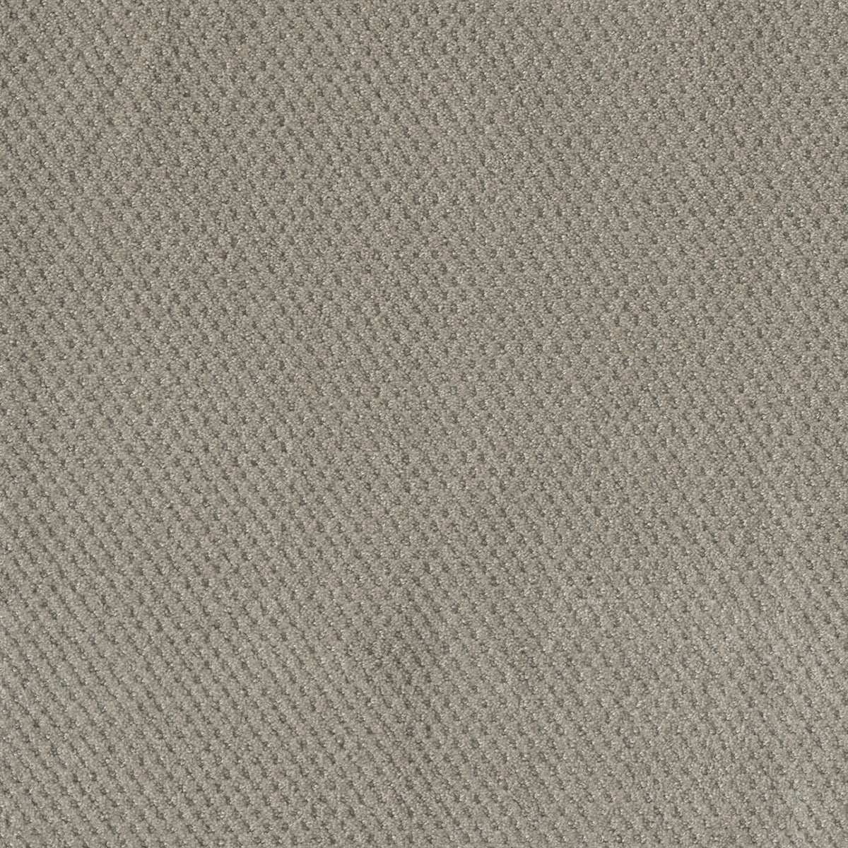 MOON BAY - Arrowhead - Swatch