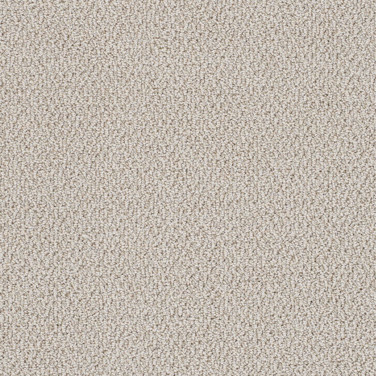 PALAZZO - Bay Dream - Swatch