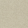 NIMBUS - Accolade - Swatch