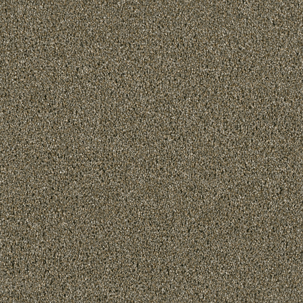 ACCLAIM - Cinnamon Tea - Swatch