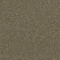 ACCLAIM - Cinnamon Tea - Swatch
