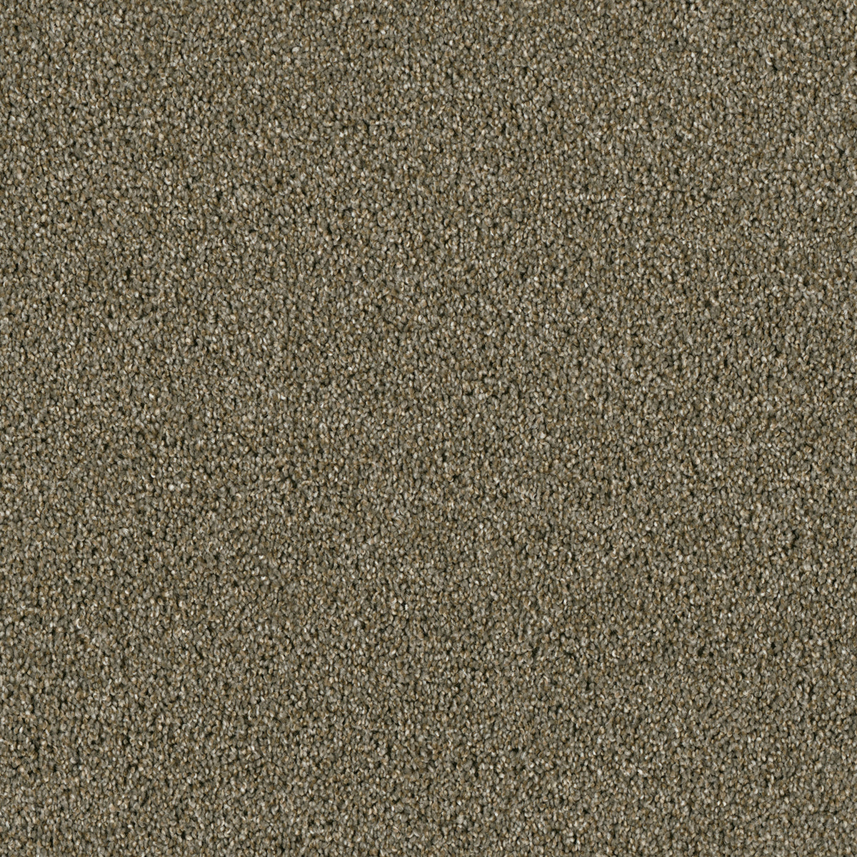 ACCLAIM - Cinnamon Tea - Swatch
