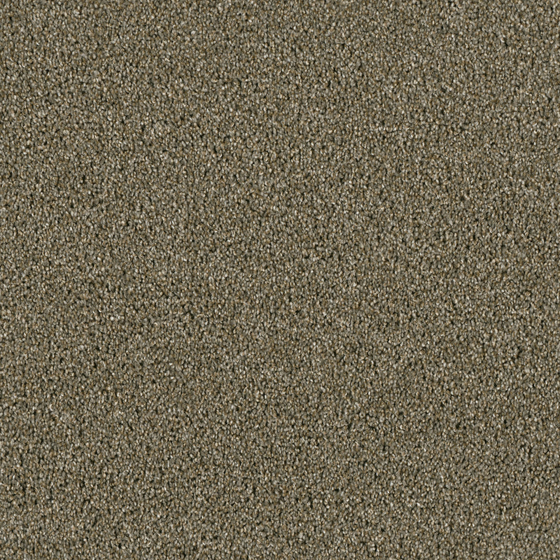 ACCLAIM - Cinnamon Tea - Swatch