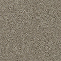 Rich Walnut