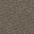 Desert Jasper