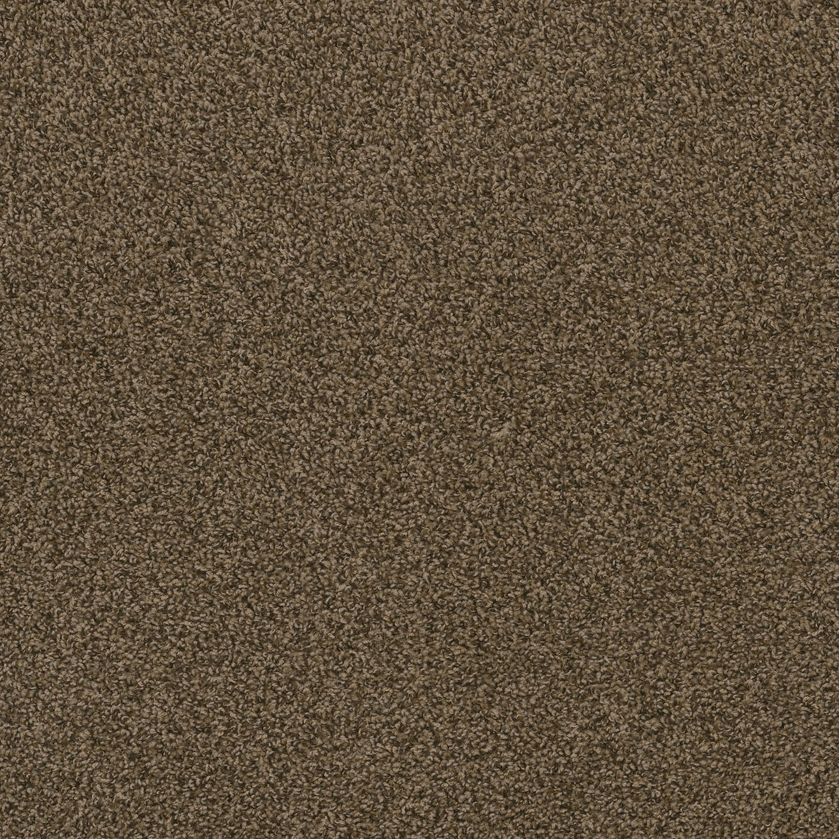 HOT PURSUIT - Agate - Swatch