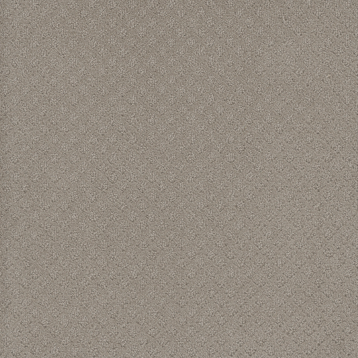 CAPRI - Arrowhead - Swatch