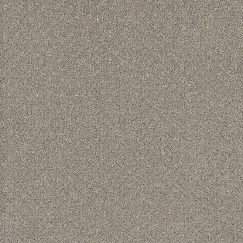 CAPRI - Arrowhead - Swatch