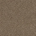 Honey Beige