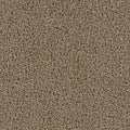 Sandstone