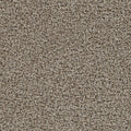 TRACKER - Almond - Swatch