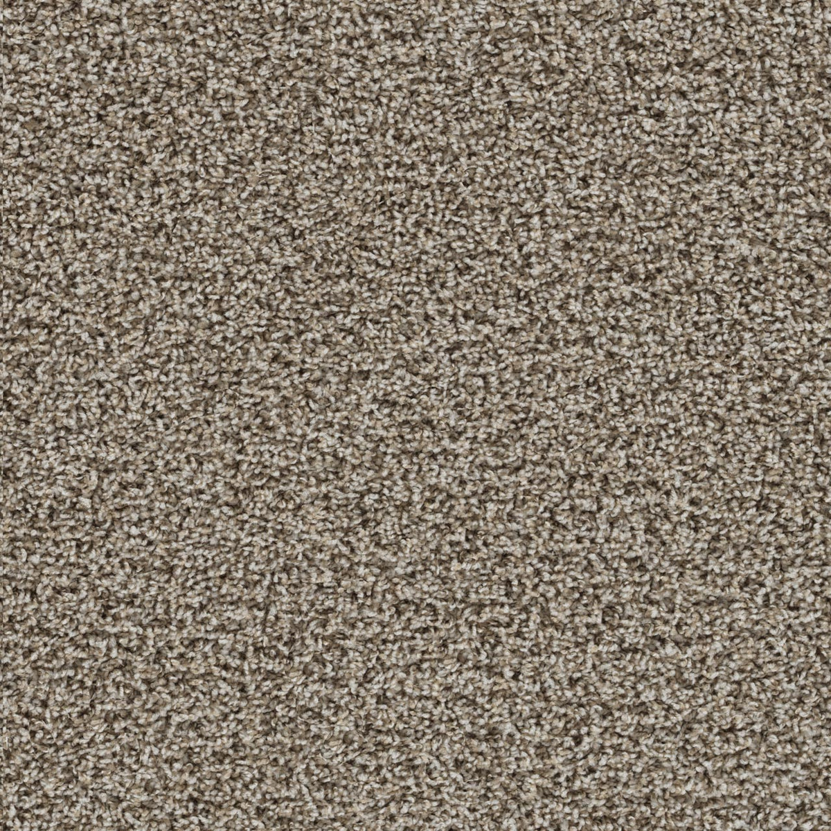 TRACKER - Almond - Swatch