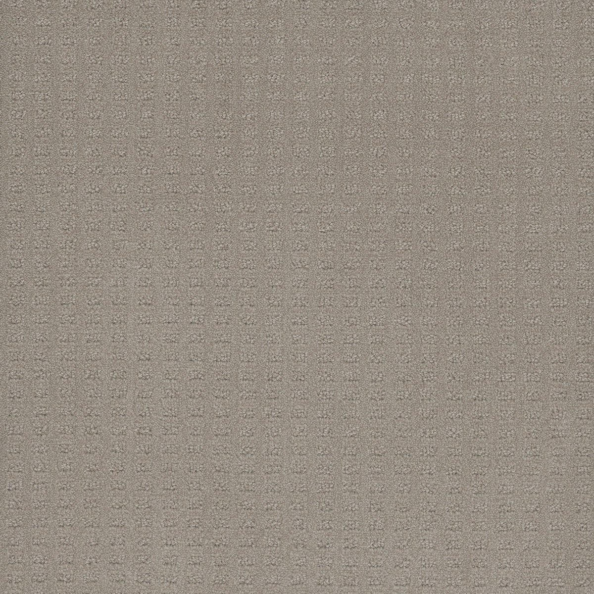 CASPIAN - Arrowhead - Swatch