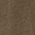 Black Walnut