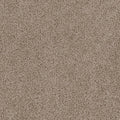 CEDAR CREEK - Ash - Swatch