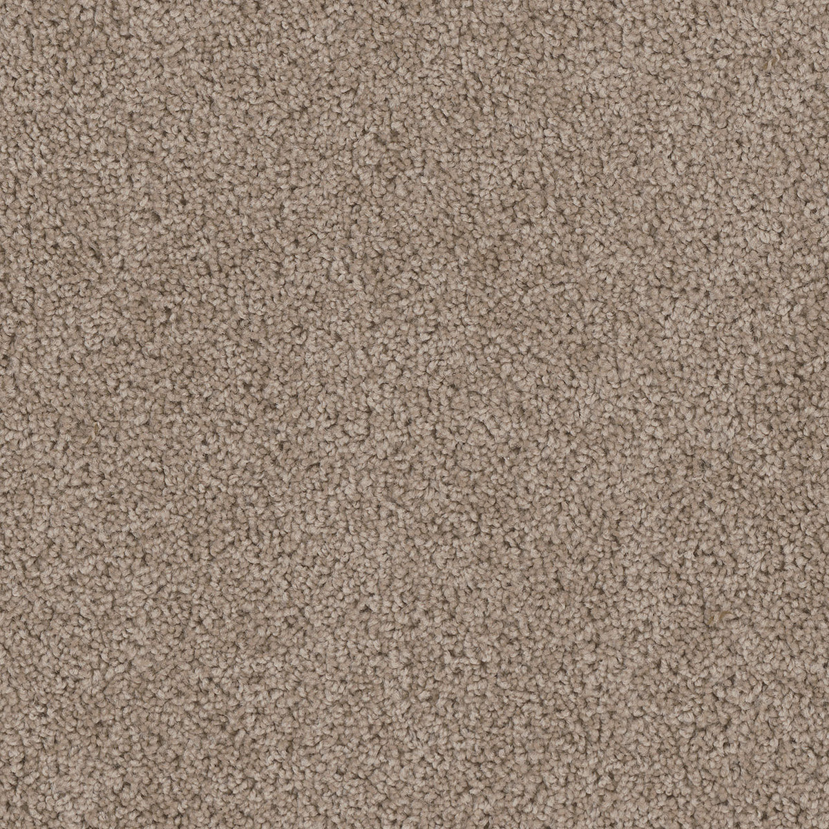 CEDAR CREEK - Ash - Swatch