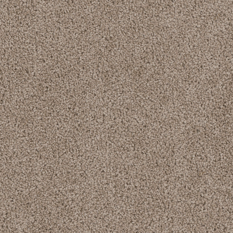CEDAR CREEK - Ash - Swatch