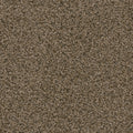 SWEEPSTAKES - Agate - Swatch