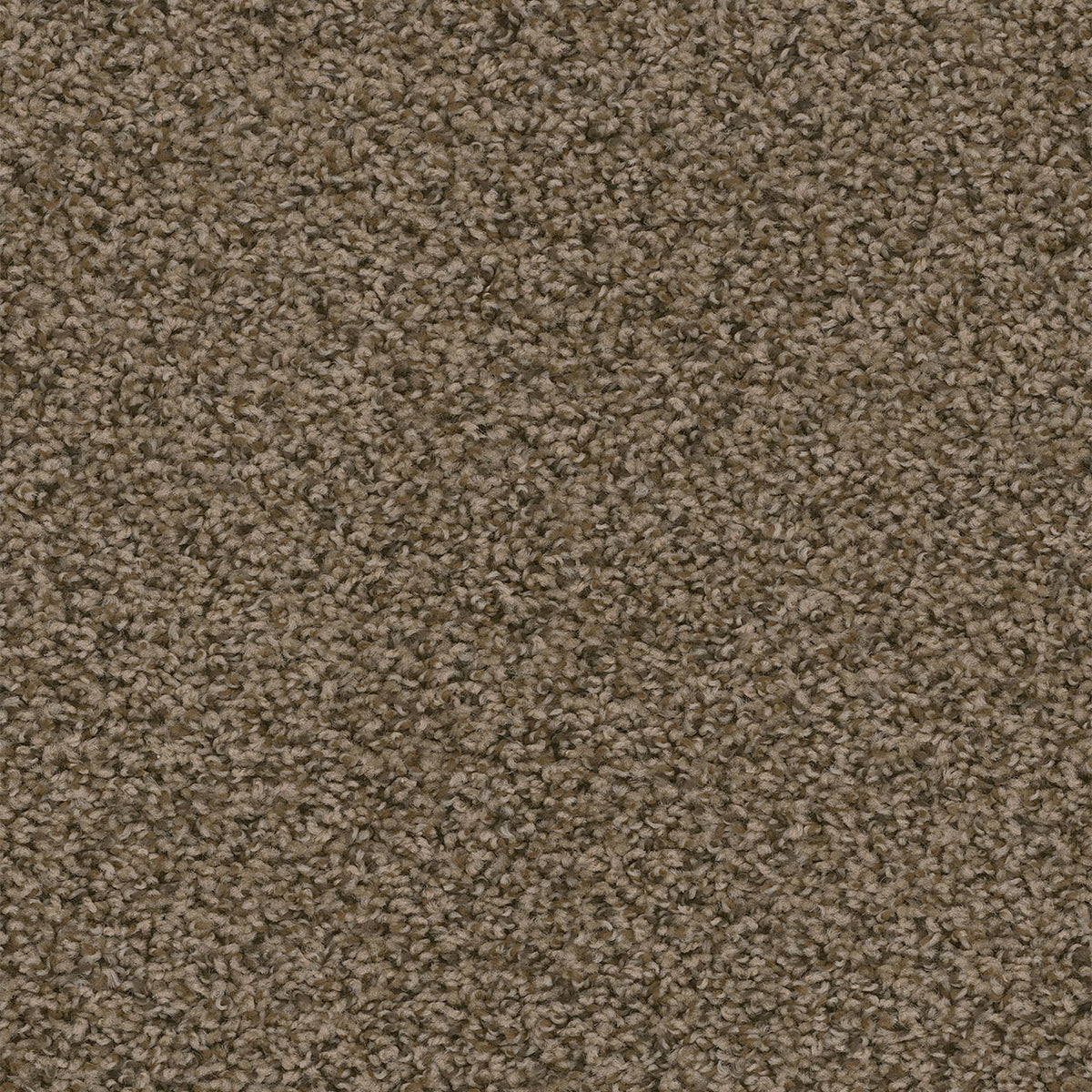 SWEEPSTAKES - Agate - Swatch