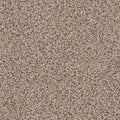 Claystone