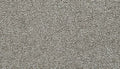 Pebble Trail