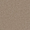 Quail