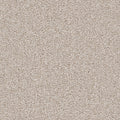 Parchment