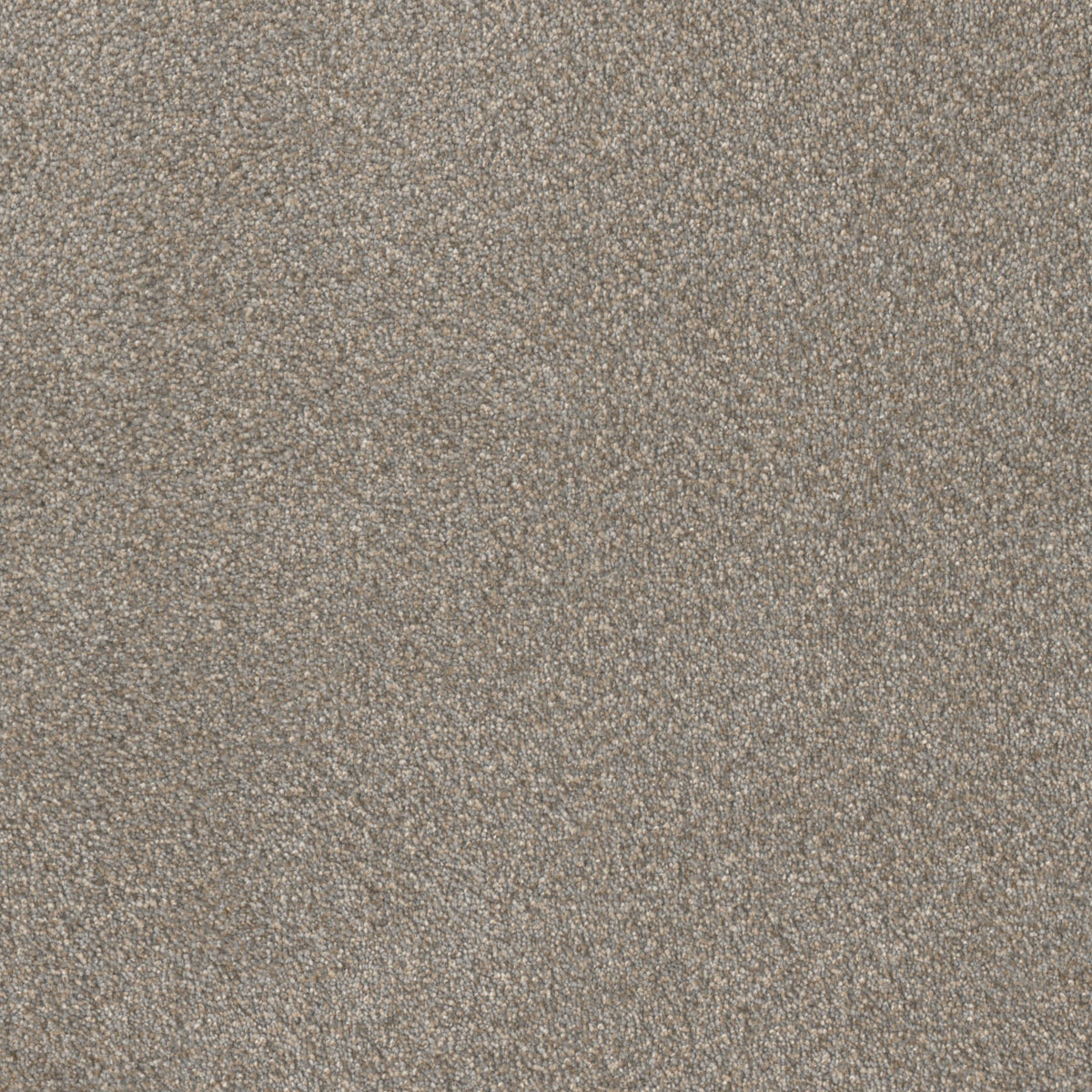 MONTAUK - Ancient Marble - Swatch