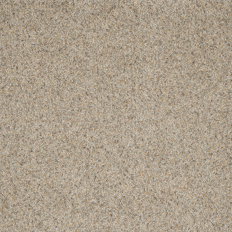 ASTOUNDING II - Amberwood - Swatch