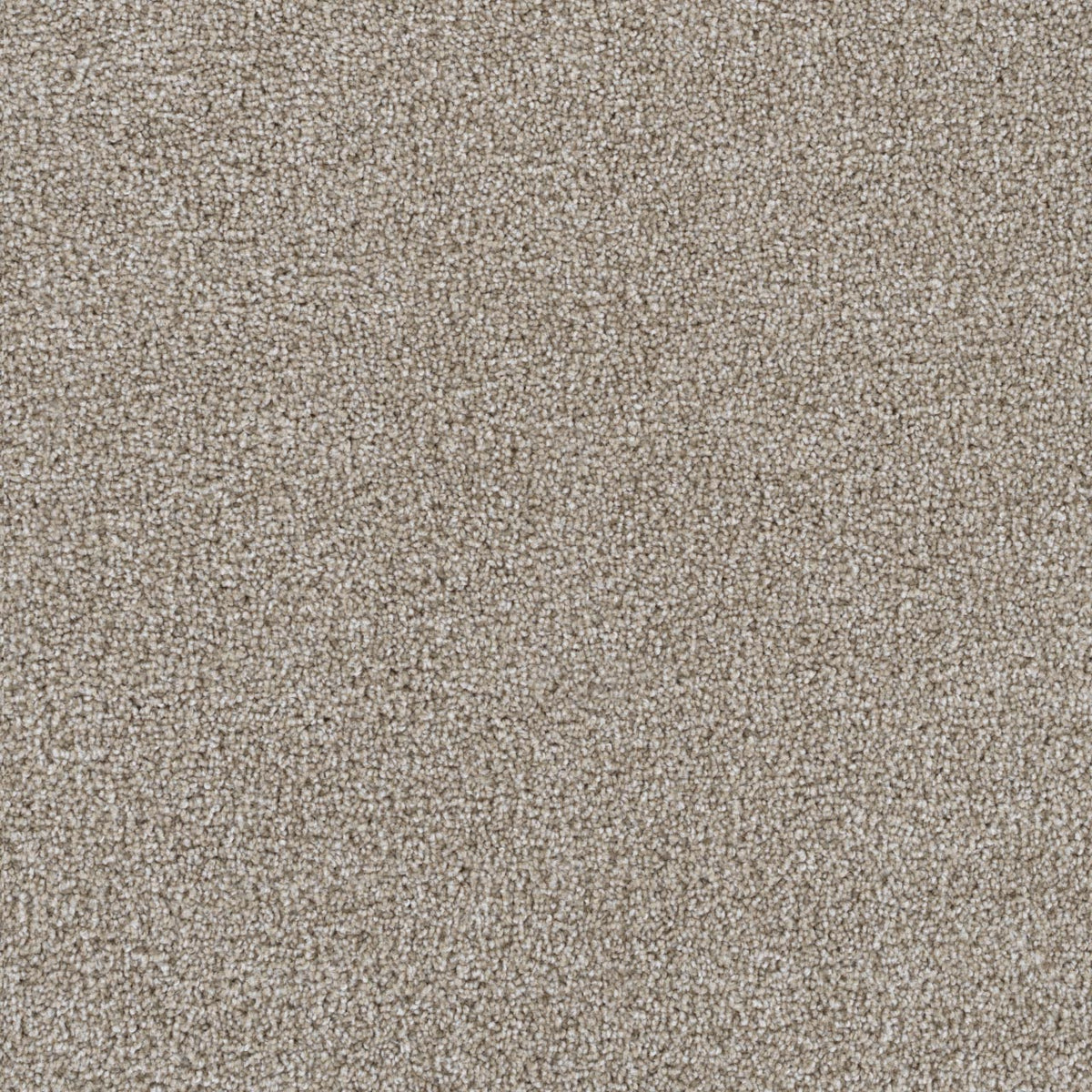 GOOSEHILL - Cameo - Swatch