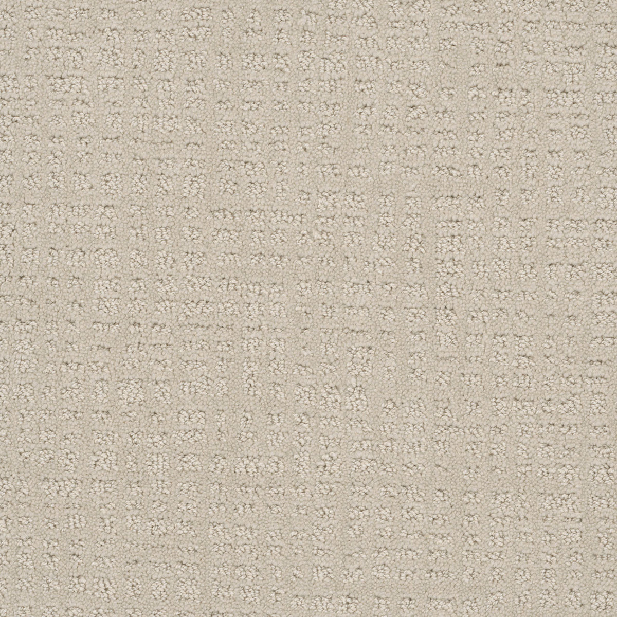 COMMON GROUND - Alabaster - Swatch