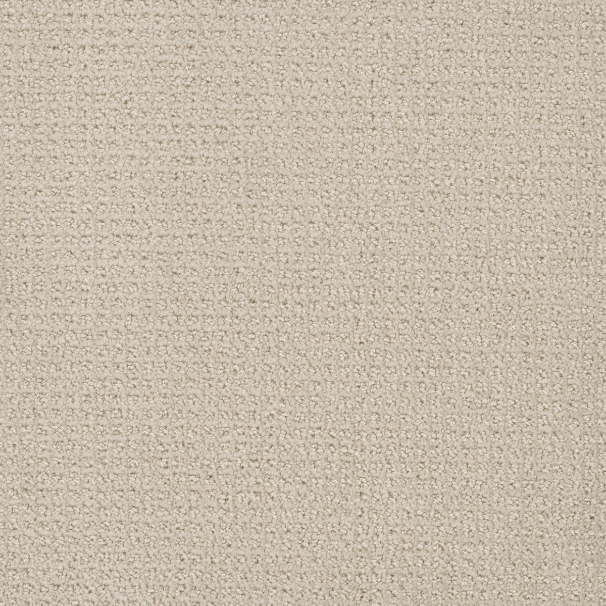 PINPOINT - Alabaster - Swatch