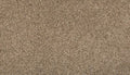 Flax Seed