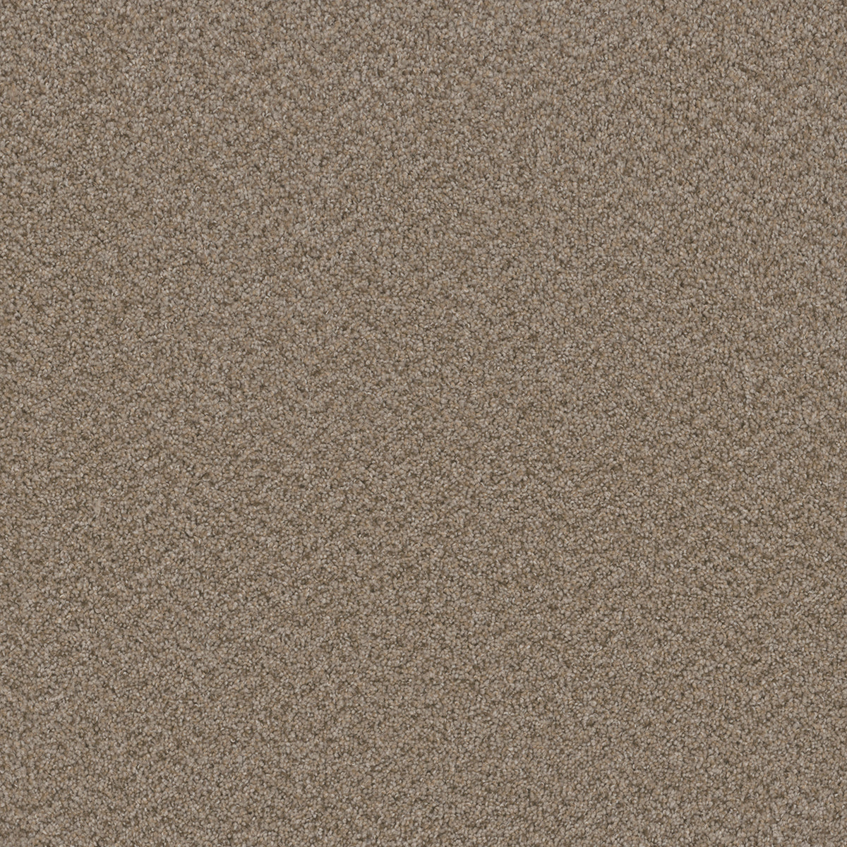 BROADCAST - Almond - Swatch