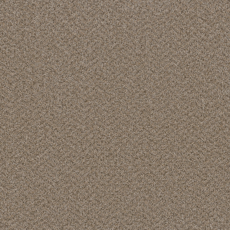 BROADCAST - Almond - Swatch