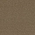Mocha Beige