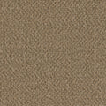 BROADCAST PLUS - Aged Leather - Swatch
