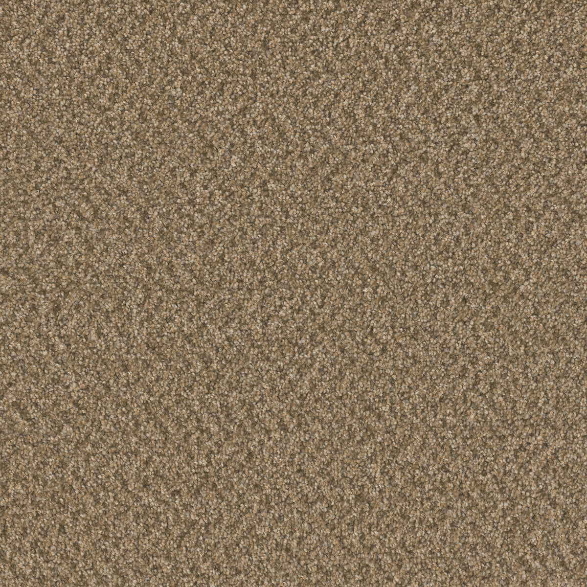 BROADCAST PLUS - Aged Leather - Swatch