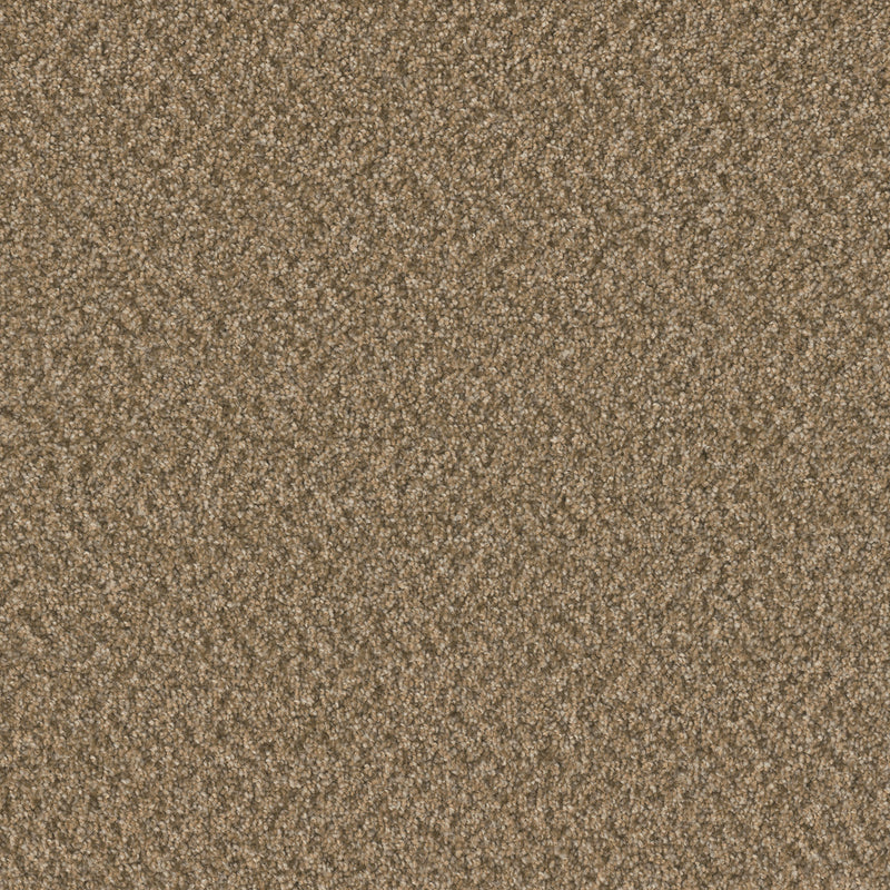 BROADCAST PLUS - Aged Leather - Swatch