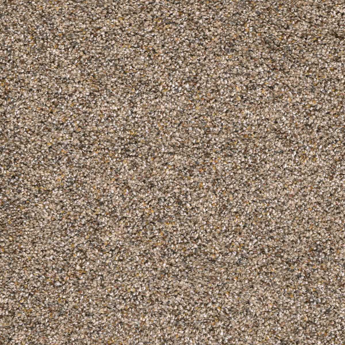 CONFETTI II - Bisque - Swatch