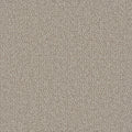 INTERSTELLAR - Bleached Wheat - Swatch