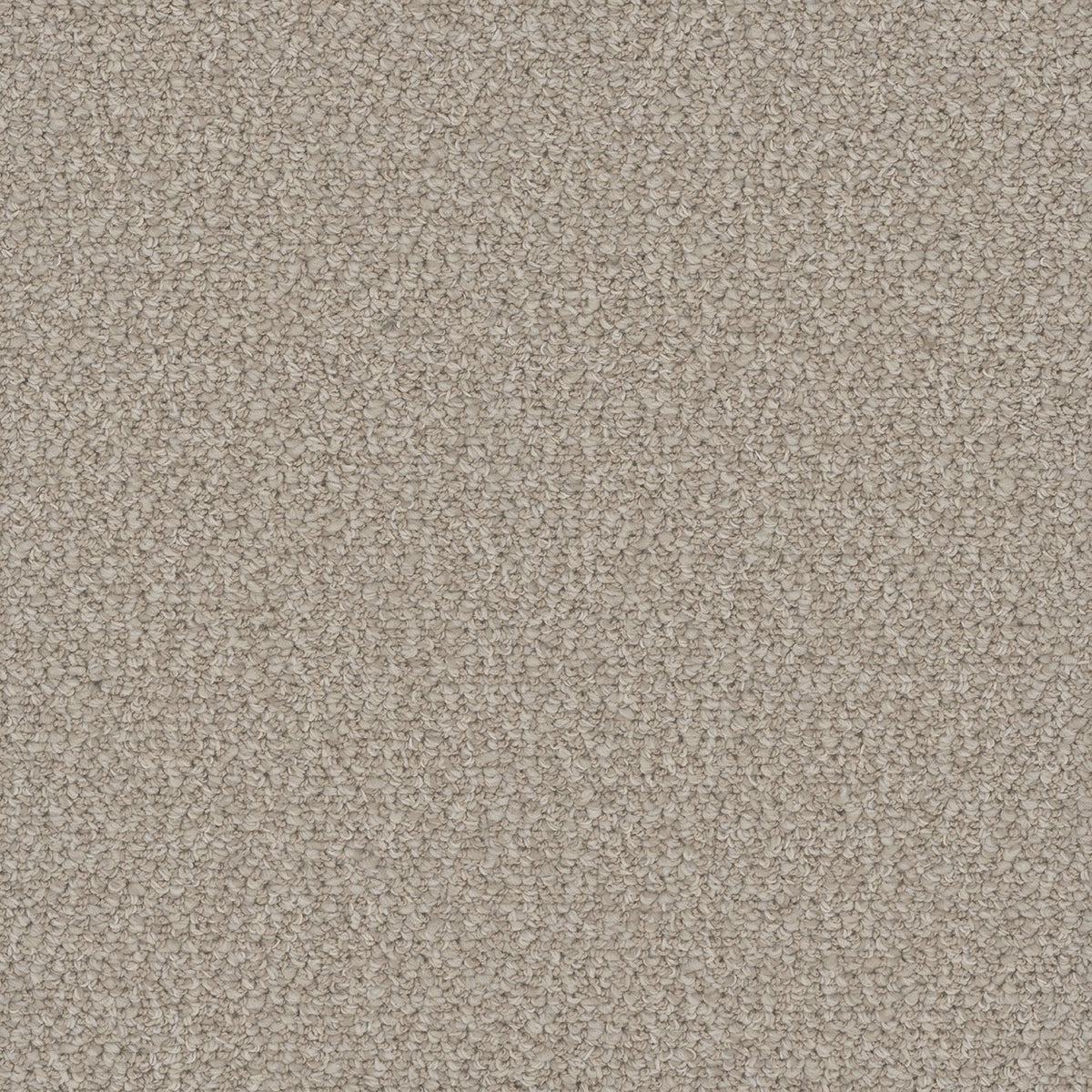 INTERSTELLAR - Bleached Wheat - Swatch