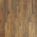 Toasted Chestnut