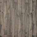 Millstone Chestnut