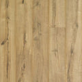Cavalry Oak