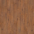 Twilight Oak