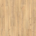 Lighthouse Oak