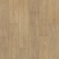 Stallion Hickory